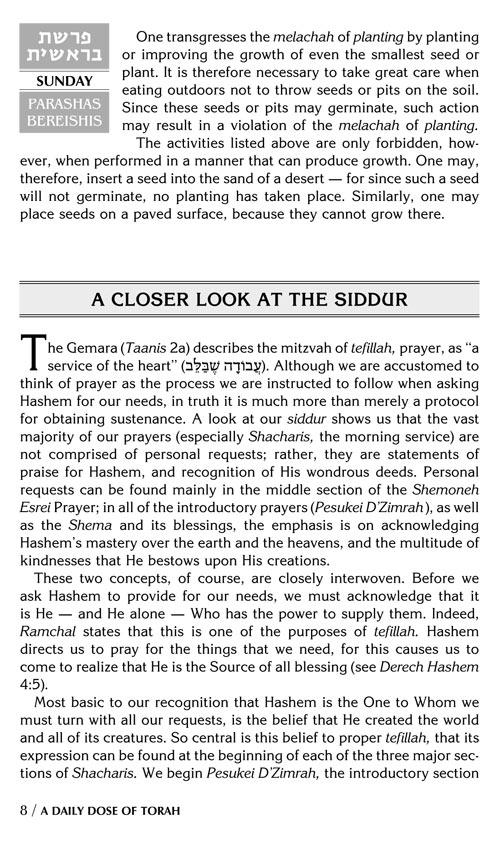 A DAILY DOSE OF TORAH SERIES 1 Vol 01: Weeks of Bereishis through Vayeira – תמונה 8