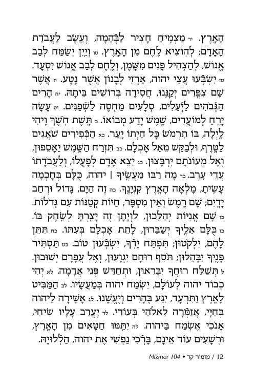Rav Schwab on Selections of Tehillim – תמונה 4