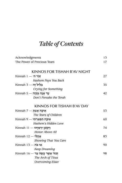 A Most Meaningful Tishah B’Av – תמונה 8