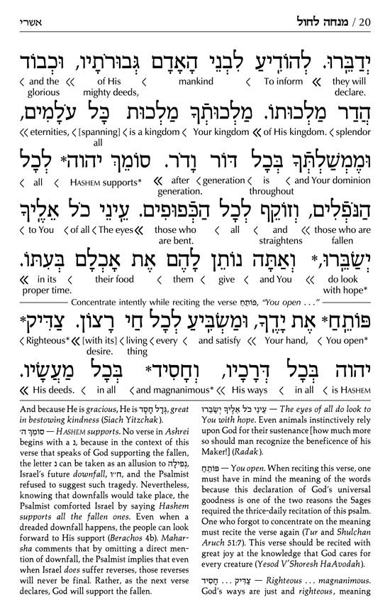 Schottenstein Siddur & Tehillim – Interlinear Translation 3 Vol Slipcased Set – תמונה 9
