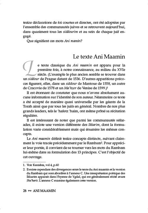 Ani Maamin: A Mission for Life: French Edition – תמונה 3