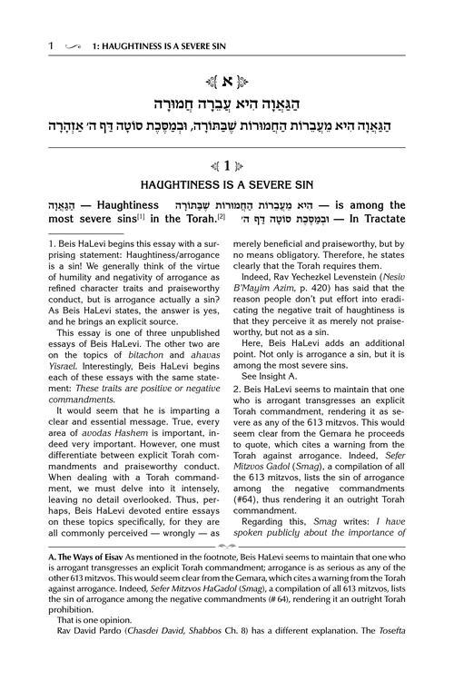 Beis Halevi on Anavah – Deluxe Embossed Cover – תמונה 2