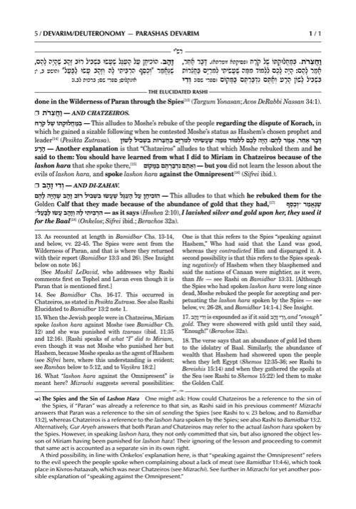 Schottenstein Edition The Elucidated Rashi on Chumash – Devarim volume 1: Devarim – Shoftim – תמונה 5