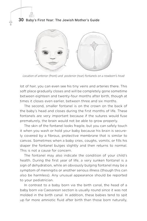 Baby’s First Year: The Jewish Mother’s Guide – תמונה 4