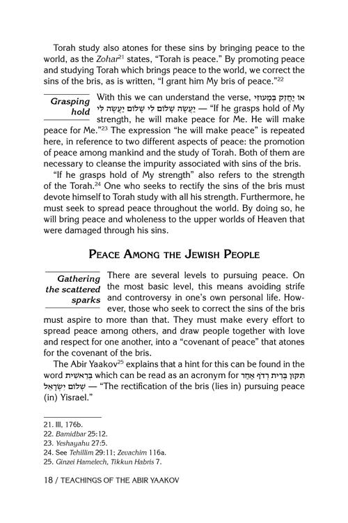 Teachings of The Abir Yaakov Vol. 2 – תמונה 5