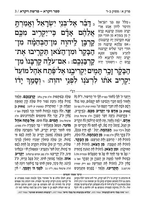 Chumash – Chinuch Tiferes Micha’el With Vowelized Rashi Text Volume 3: Vayikra – תמונה 3