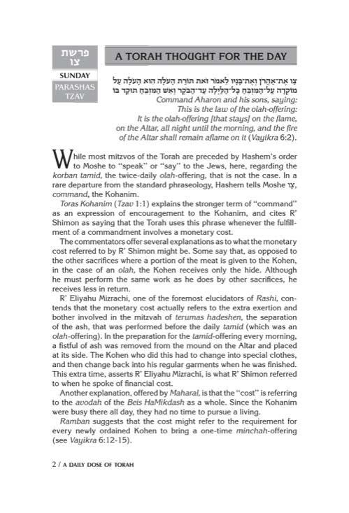 A DAILY DOSE OF TORAH SERIES 2 Vol 07: Weeks of Tzav through Metzorah – תמונה 2