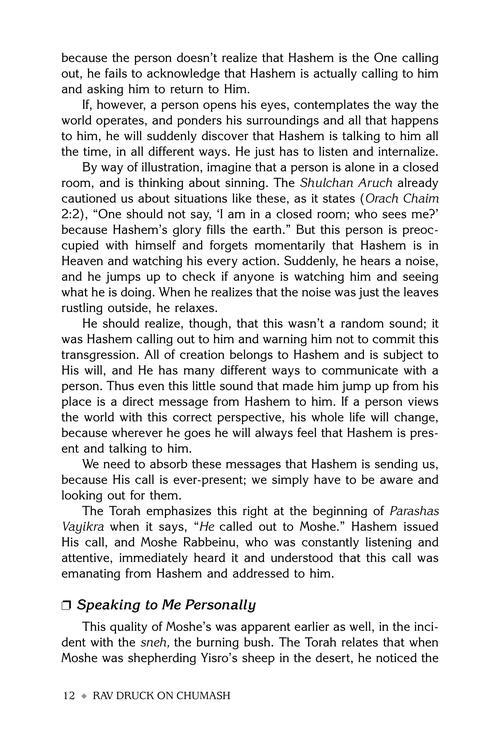 Rav Druck on Chumash – Vayikra – תמונה 3