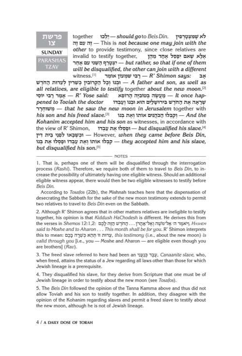 A DAILY DOSE OF TORAH SERIES 2 Vol 07: Weeks of Tzav through Metzorah – תמונה 4