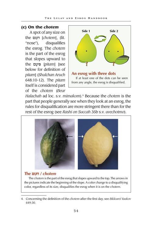 The Lulav and Esrog Handbook – תמונה 2
