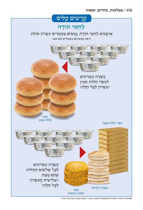 Chumash – Chinuch Tiferes Micha’el With Vowelized Rashi Text Volume 3: Vayikra – תמונה 7