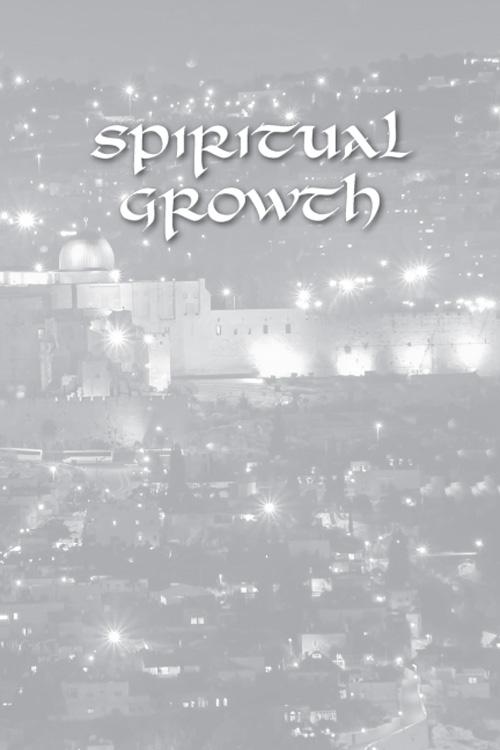 Lights from Jerusalem – תמונה 2