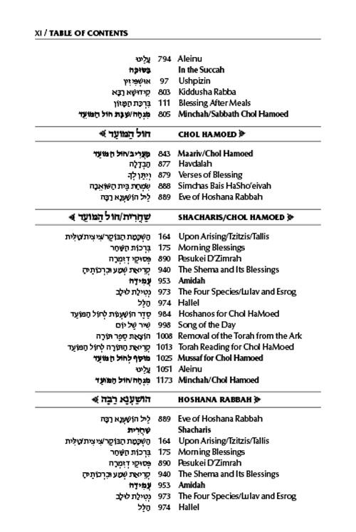 Schottenstein Interlinear Succos Machzor Full Size Ashkenaz following the Customs of Eretz Yisroel – תמונה 9