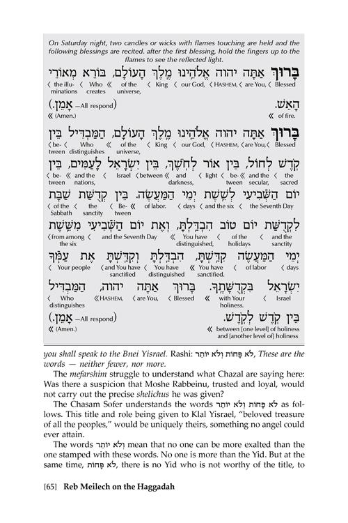 Reb Meilech on the Haggadah – תמונה 5