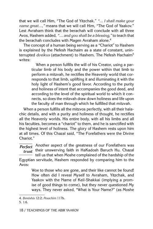 Teachings of The Abir Yaakov Vol. 1 – תמונה 4