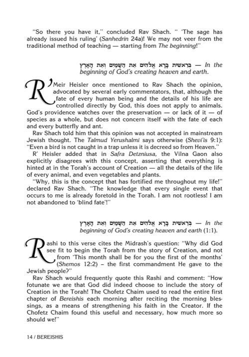 Rav Shach on Chumash – תמונה 3