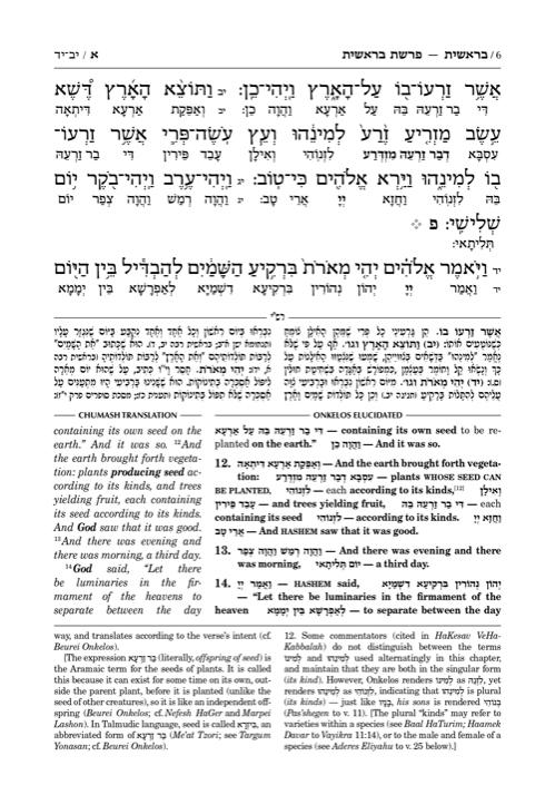 Zichron Meir Edition of Targum Onkelos – Slipcased Set – תמונה 6