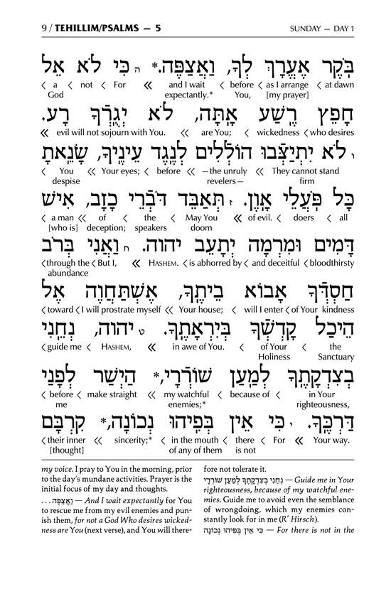 Signature Leather Collection Full-Size Schottenstein Interlinear Tehillim White – תמונה 9
