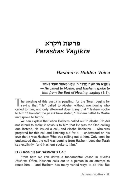 Rav Druck on Chumash – Vayikra – תמונה 2