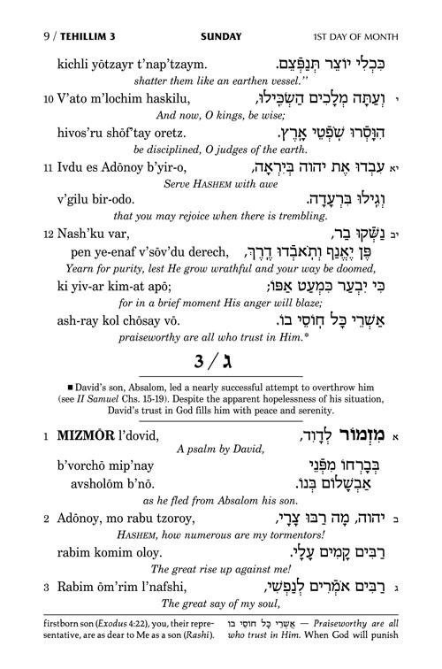 Tehillim: Transliterated Linear – Seif Edition, Pocket Size H/C – תמונה 5
