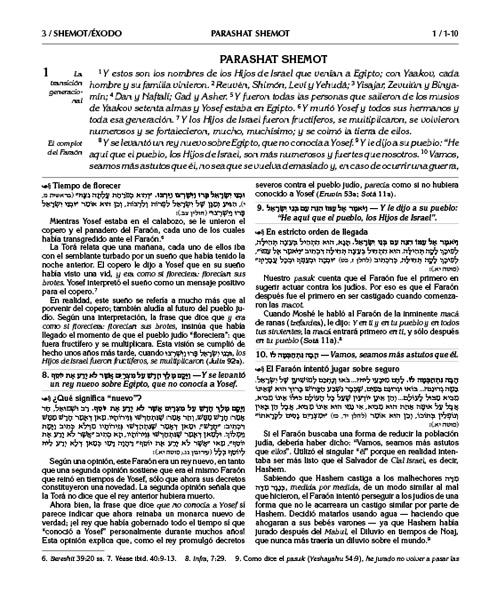 Spanish Edition of Chumash with the Teachings of the Talmud -Wengrowsky Edition – תמונה 3