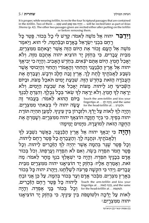 Siddur Shiras Baila: Hebrew-Only: Full Size – Sefard – with English Instructions – תמונה 5