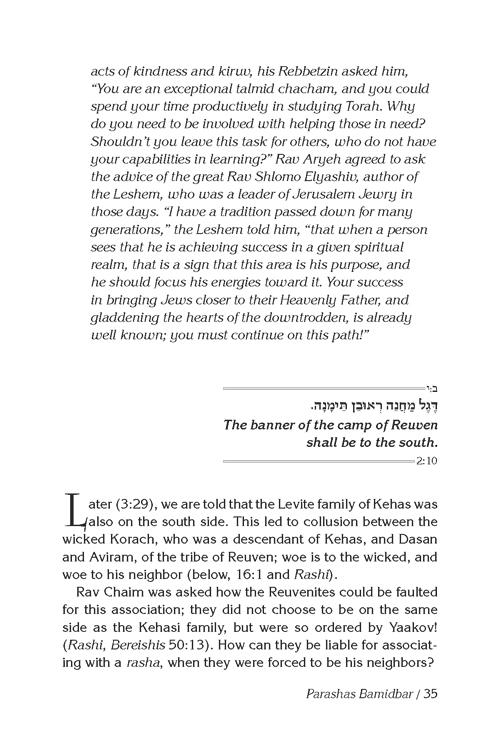 Rav Chaim Kanievsky on Chumash – Bamidbar – תמונה 2