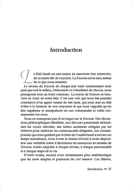 Ani Maamin: A Mission for Life: French Edition – תמונה 2