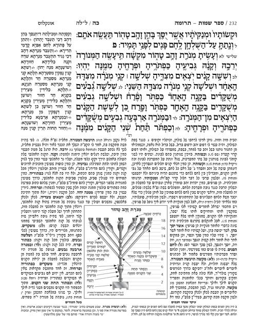 חמישה חומשי תורה בכרך אחד- מהדורת יפה- גדול- עברית בלבד – תמונה 8