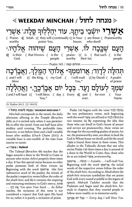 Schottenstein Siddur & Tehillim – Interlinear Translation 3 Vol Slipcased Set – תמונה 7