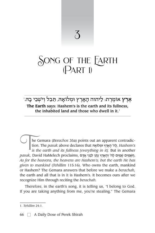 A Daily Dose of Perek Shirah – Deluxe Edition Lucite Cover – תמונה 5