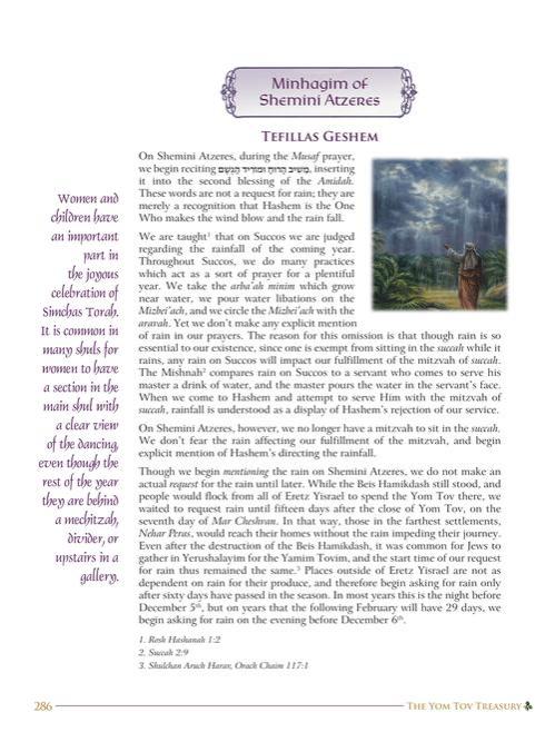 The Yom Tov Treasury Volume 1 – תמונה 9