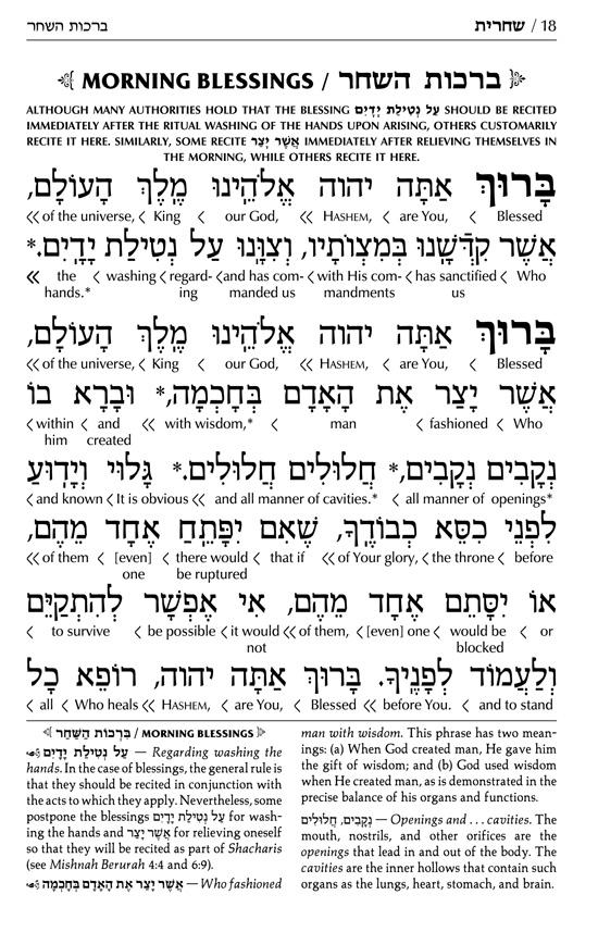 Siddur Interlinear Weekday Full Size – Ashkenaz – Schottenstein Edition – תמונה 5
