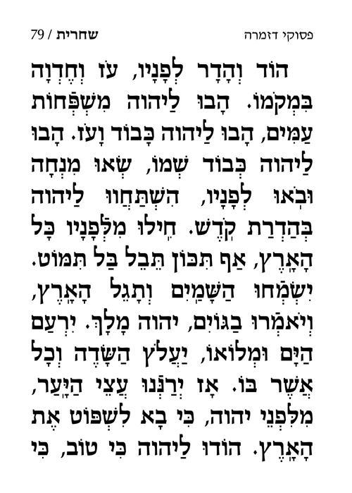 סידור ענק לימות החול אשכנז עם הוראות באנגלית – תמונה 6