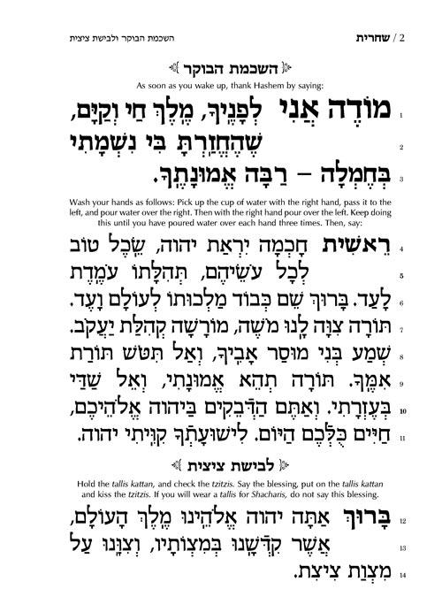 סידור חינוך חיים שלמה – ספרד- גודל כיס – תמונה 2