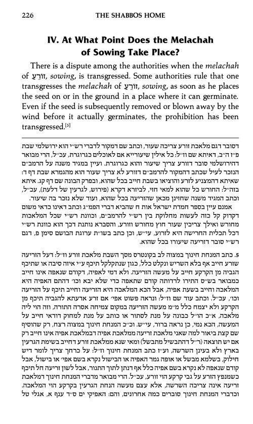 The Shabbos Home Volume 2 – תמונה 4