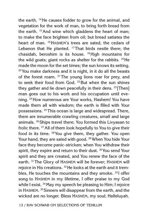 Rav Schwab on Selections of Tehillim – תמונה 5