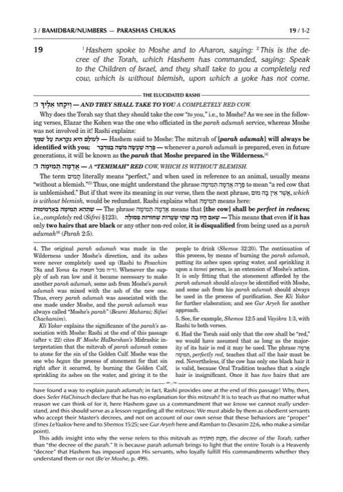 Schottenstein Edition The Elucidated Rashi on Chumash – Bamidbar volume 2: Chukas – Masei – תמונה 3