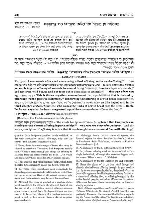 Ramban 5 – Vayikra/Leviticus – Full Size – תמונה 6