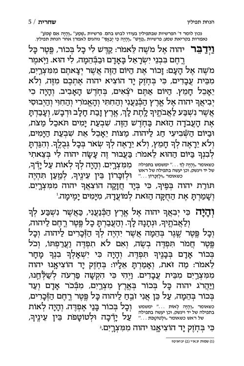 סידור נר נפתלי - פורמט קטן {עברית} / נוסח ספרד – תמונה 5