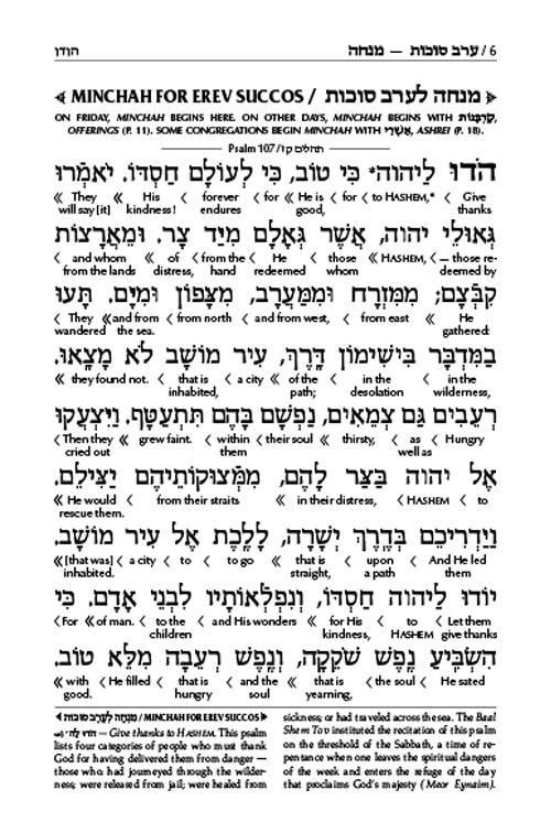 Schottenstein Interlinear Succos Machzor Full Size Ashkenaz following the Customs of Eretz Yisroel – תמונה 6
