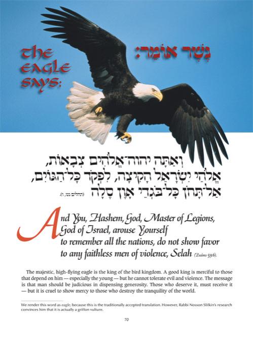 Perek Shirah – The Song of the Universe – Pocket Size – תמונה 4