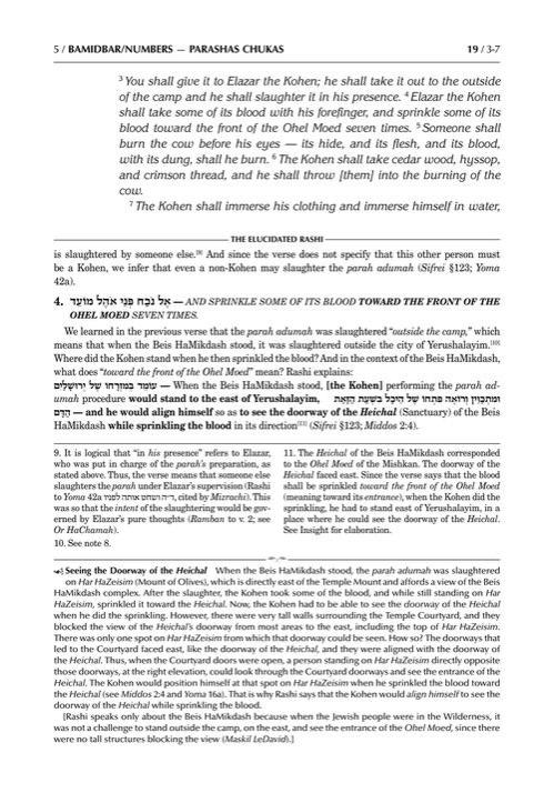 Schottenstein Edition The Elucidated Rashi on Chumash – Bamidbar volume 2: Chukas – Masei – תמונה 5