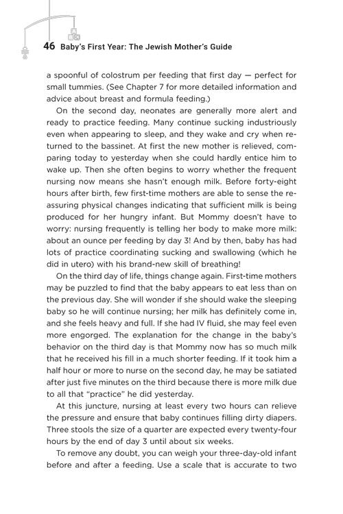 Baby’s First Year: The Jewish Mother’s Guide – תמונה 21