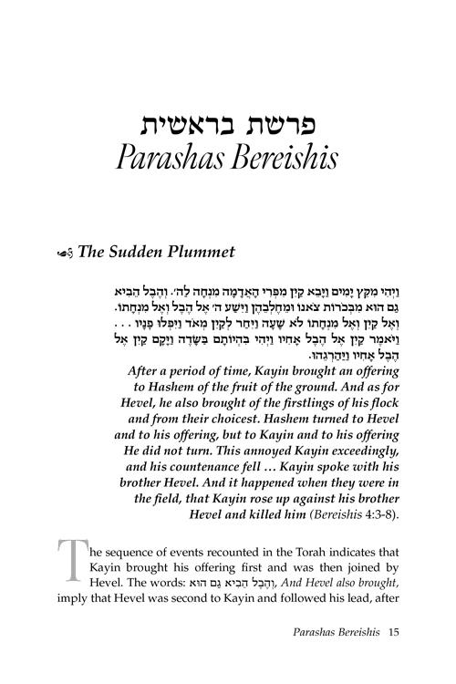 Rav Nosson Tzvi Speaks – תמונה 2