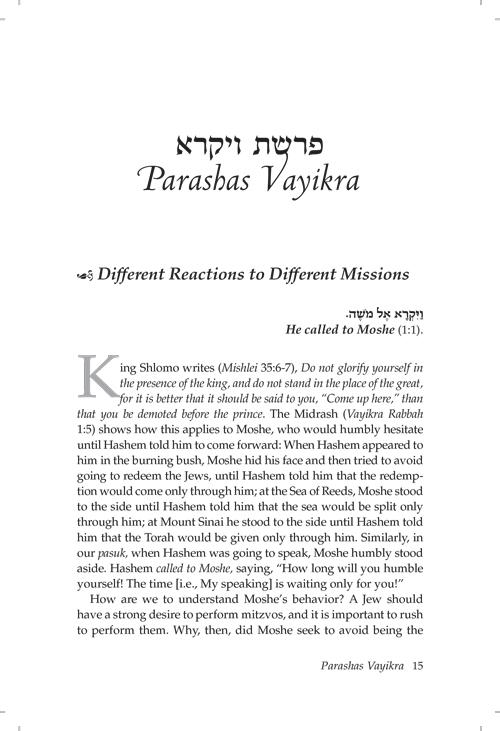 Rav Moshe on Chumash Vol 2 – תמונה 2