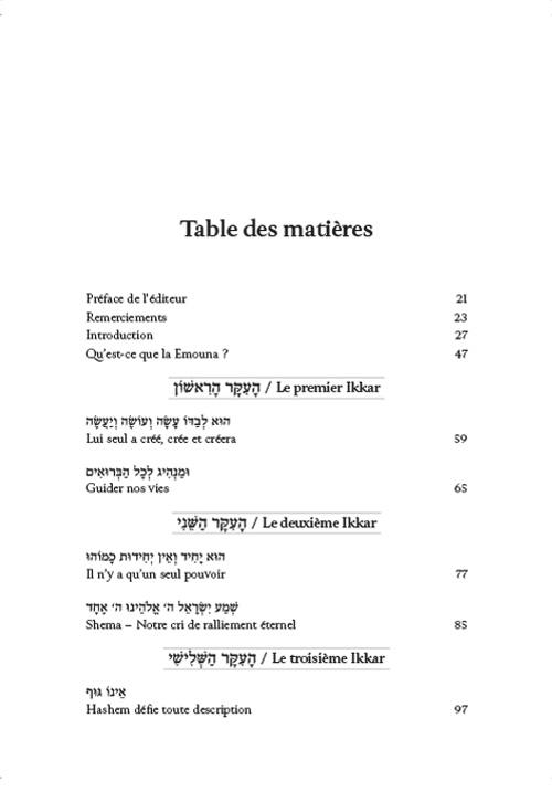 Ani Maamin: A Mission for Life: French Edition – תמונה 6