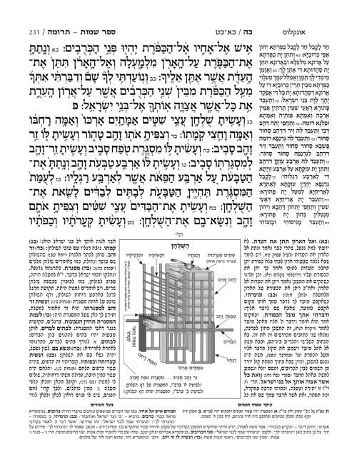 חמישה חומשי תורה בכרך אחד- מהדורת יפה- גדול- עברית בלבד – תמונה 7