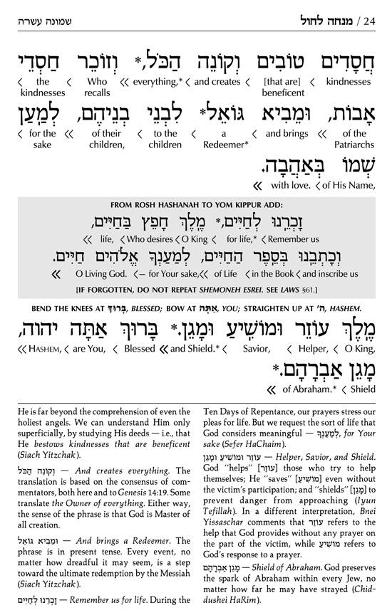 Siddur Interlinear Sabbath & Festivals Full Size Ashkenaz White Schottenstein Ed – תמונה 13