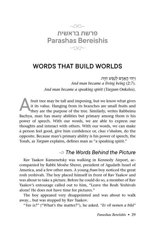 The Parashah and The Power of Speech – תמונה 2